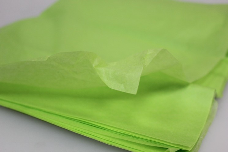 Paper "Tishyu" size 50x66 cm, light green color, 1 sheet