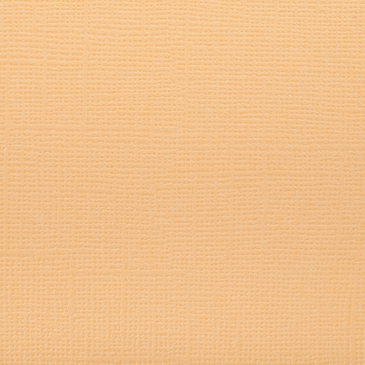 Кардсток текстурированный Mr.Painter, цвет "Персиковое суфле (светло-оранжевый)" размер 30,5Х30,5 см, 216 г/м2