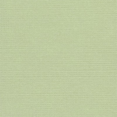 Кардсток текстурированный Mr.Painter, цвет "Фисташковое мороженое" размер 30,5Х30,5 см, 216 г/м