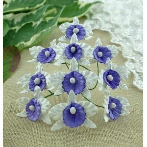 Orchid "White-lilac" size 3, 3X4 cm 1 piece