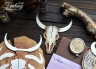 Нож для вырубки FantasyScrap «Череп буйвола 1728» 