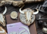Нож для вырубки FantasyScrap «Череп буйвола 1728» 