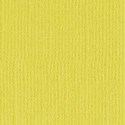 Кардсток текстурированный Mr.Painter, цвет "Зеленый чай" размер 30,5Х30,5 см, 216 г/м2