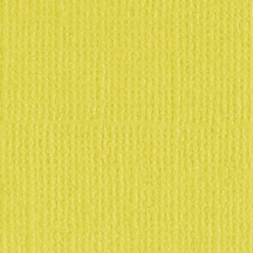 Кардсток текстурированный Mr.Painter, цвет "Зеленый чай" размер 30,5Х30,5 см, 216 г/м2