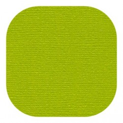 Кардсток текстурированный цвет "Цвет листвы" размер 30,5Х30,5 см, 235 гр/м2