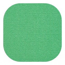 Кардсток текстурированный цвет "Клевер" размер 30,5Х30,5 см, 235 гр/м2