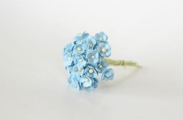 Mini "Blue" cherries size 1 cm, 10 pcs 