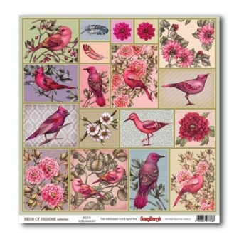 One-sided sheet of paper Scrapberry's Birds of Paradise "Birds", size 30x30 cm, 180 g/m2