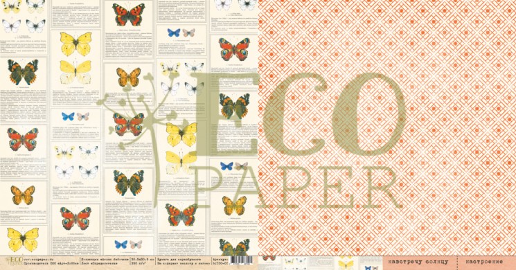 Double-sided sheet of paper EcoPaper Butterfly Atlas "Determinant", size 30. 5x30. 5 cm, 250gr/m