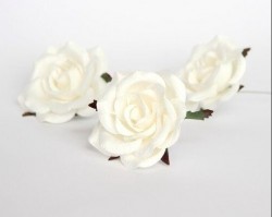 Коттеджная роза "Белая" размер 6-7 см 1 шт